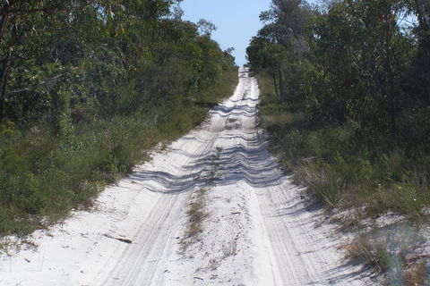 Stradbroke Island 4WD Day Trip From Brisbane - Accommodation Port Macquarie 2