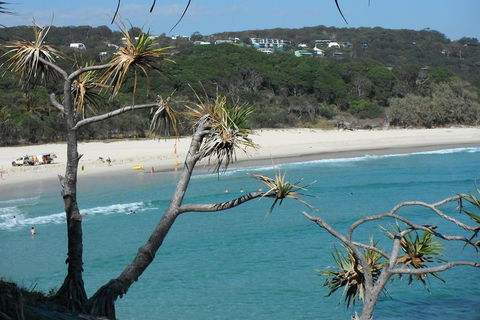 Stradbroke Island 4WD Day Trip From Brisbane - Accommodation Port Macquarie 5