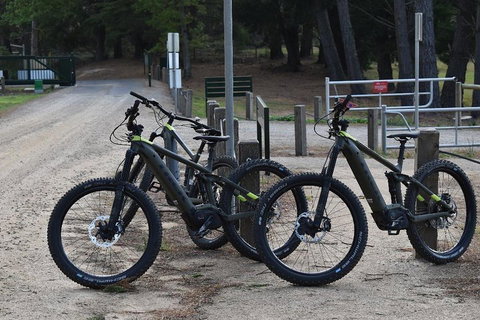 Fully Guided E-Mountain Bike Tour On The Beautiful Mornington Peninsula. - Accommodation Port Macquarie 2