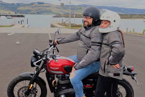 Triumph Street Scrambler 900cc - Accommodation Port Macquarie 1