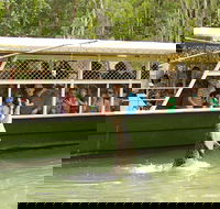 Hartley's Crocodile Adventure Half-Day Tour - Accommodation Port Macquarie