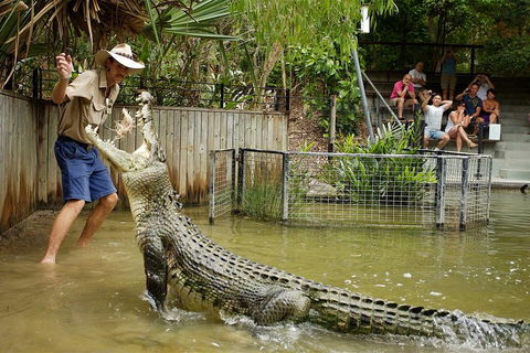 Hartley's Crocodile Adventure Half-Day Tour - Accommodation Port Macquarie 2