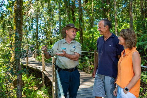 Kuranda Scenic Railway Day Trip From Cairns - Accommodation Port Macquarie 1