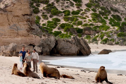Kangaroo Island Scenic Trail Tour - Accommodation Port Macquarie 5