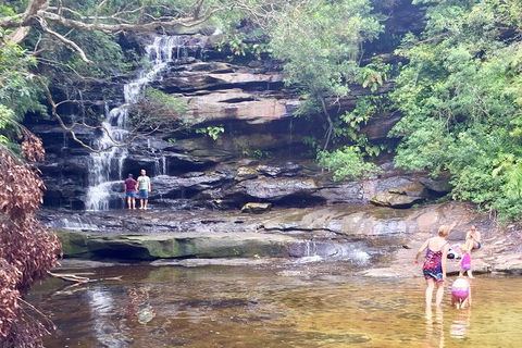 Central Coast Private Tour From Sydney, With Australian Reptile Park Option - Accommodation Port Macquarie 0