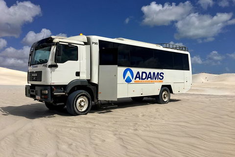 Pinnacles Desert, Koalas And Sandboarding 4WD Day Tour From Perth - Accommodation Port Macquarie 2