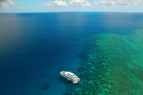 Great Barrier Reef Snorkeling And Diving Cruise From Cairns - Accommodation Port Macquarie 4