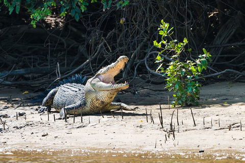 Full Day Cooktown Private Tour - Accommodation Port Macquarie 4