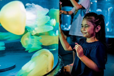 SEA LIFE Sydney Aquarium Entrance Ticket - Accommodation Port Macquarie 5