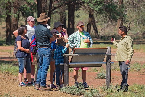 Yura Udnyu - Our Culture, Your Culture (Aboriginal Cultural Walk) - Accommodation Port Macquarie 2