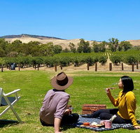 Private Picnic and Wine Tasting Experience in Barossa Valley - Accommodation Port Macquarie