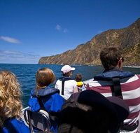Seal Island Boat Tour from Victor Harbor - Accommodation Port Macquarie