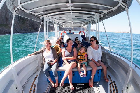 Seal Island Boat Tour From Victor Harbor - Accommodation Port Macquarie 1