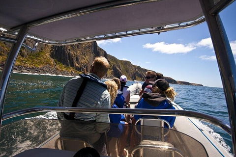 Seal Island Boat Tour From Victor Harbor - Accommodation Port Macquarie 2