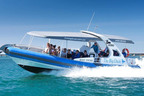 Seal Island Boat Tour From Victor Harbor - Accommodation Port Macquarie 3