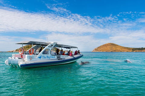 Southern Ocean Adventure From Victor Harbor - Accommodation Port Macquarie 1
