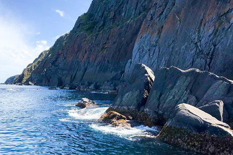 Southern Ocean Adventure From Victor Harbor - Accommodation Port Macquarie 3
