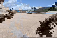 Magnetic Island Tour Maggie Comprehensive