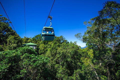 Classic Kuranda By Skyrail And Scenic Railway Including Rainforestation, Koala And Wildlife Park And Pamagirri Aboriginal Experi - Accommodation Port Macquarie 0