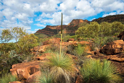 6-Day Eyre Peninsula & Flinders Ranges Adventure Tour - Accommodation Port Macquarie 1