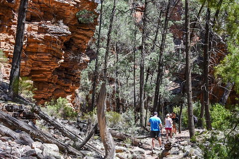 6-Day Eyre Peninsula & Flinders Ranges Adventure Tour - Accommodation Port Macquarie 5
