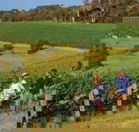 10 Day Perth to Adelaide Private Tour - The Great Australian Wilderness Journey - Accommodation Port Macquarie