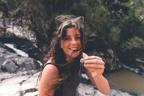 Springbrook AndTamborine Rainforest Tour Incl Natural Bridge And Glow Worm Cave - Accommodation Port Macquarie 1