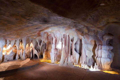 Springbrook AndTamborine Rainforest Tour Incl Natural Bridge And Glow Worm Cave - Accommodation Port Macquarie 4