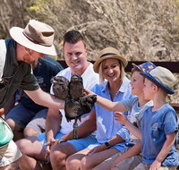 2 day Ultimate Kangaroo Island with return ferry - Accommodation Port Macquarie