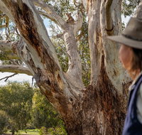NEW TOUR - Kangaroo Island Road to Recovery Tour 1 Day/1 Night - Accommodation Port Macquarie