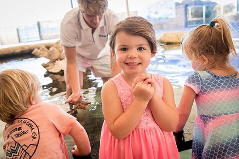 Lunch And General Admission Entry At AQWA - Accommodation Port Macquarie 4