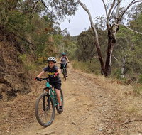Mount Lofty Descent Bike Tour from Adelaide - Accommodation Port Macquarie