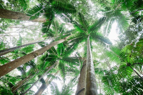 Fraser Explorer K'gari 2-Day Tour - Accommodation Port Macquarie 2