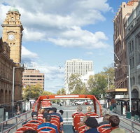 Hobart Hop-On Hop-Off Bus  kunanyi/Mt Wellington Tour