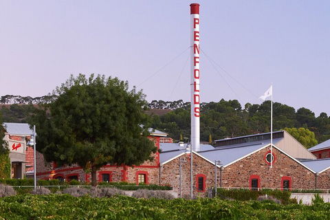 Ultimate Penfolds Magill Estate Experience - Accommodation Port Macquarie 3
