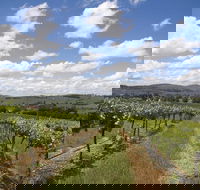 Hunter Valley Wine Tour from Sydney incl Lunch Cheese Chocolate and Distillery - Accommodation Port Macquarie