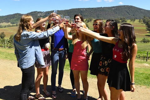 Hunter Valley Wine Tour From Sydney Incl Lunch, Cheese, Chocolate And Distillery - Accommodation Port Macquarie 3