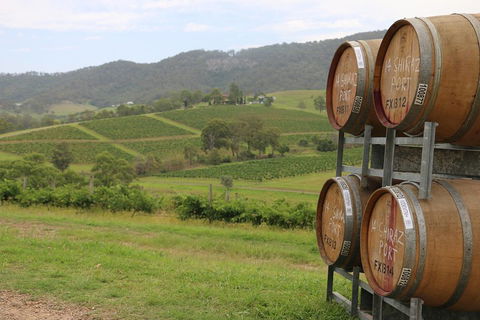 Hunter Valley Wine Tour From Sydney Incl Lunch, Cheese, Chocolate And Distillery - Accommodation Port Macquarie 5