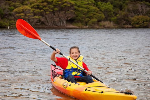 Kangaroo Island Self-Guided Kayaking On The Harriet River - Accommodation Port Macquarie 1