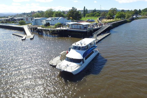 2.5 Hour Morning Discovery Cruise Including Sailing Into The Cataract Gorge - Accommodation Port Macquarie 3