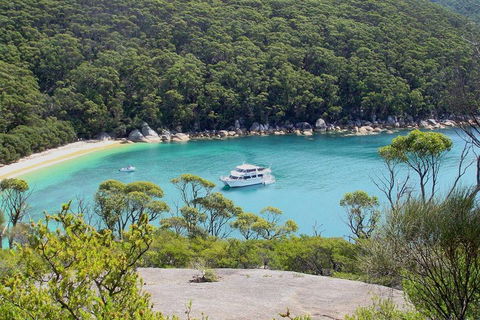 Wilsons Promontory Full Day Cruise - Accommodation Port Macquarie 2