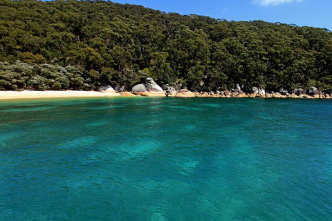 Wilsons Promontory Full Day Cruise - Accommodation Port Macquarie 4