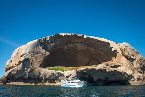 Wilsons Promontory Full Day Cruise - Accommodation Port Macquarie 5