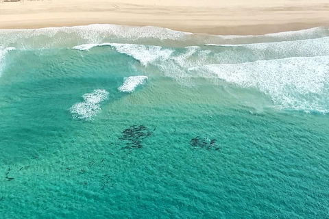 Coastal Helicopter Shared Flight - 20 Minutes - Accommodation Port Macquarie 4