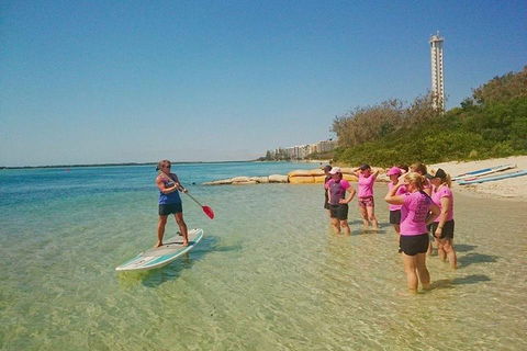 Golden Beach 1-Hour Stand-Up Paddleboard Hire On The Sunshine Coast - Accommodation Port Macquarie 1
