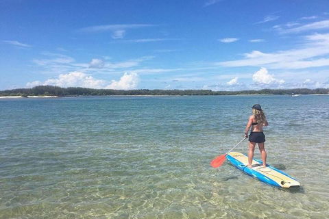 Golden Beach 1-Hour Stand-Up Paddleboard Hire On The Sunshine Coast - Accommodation Port Macquarie 4