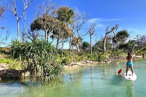 Golden Beach 1-Hour Stand-Up Paddleboard Hire On The Sunshine Coast - Accommodation Port Macquarie 5