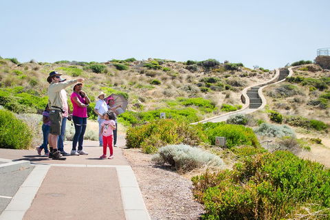 Margaret River Coastal And Wildlife Eco Trip From Busselton Or Dunsborough - Accommodation Port Macquarie 0
