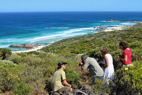 Margaret River Coastal And Wildlife Eco Trip From Busselton Or Dunsborough - Accommodation Port Macquarie 2