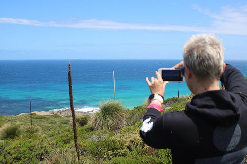 Margaret River Coastal And Wildlife Eco Trip From Busselton Or Dunsborough - Accommodation Port Macquarie 3